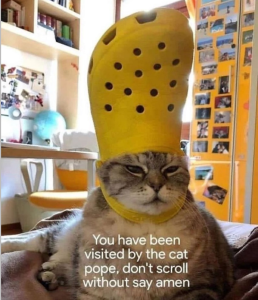 Stupid Bar Memes 842aafea78584cf3
