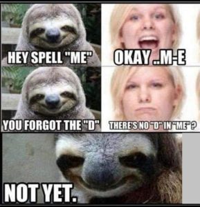Stupid Bar Memes 84546dbc24c12526