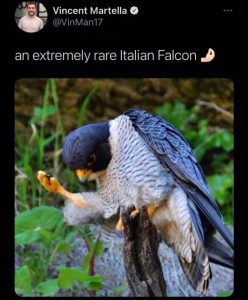 Stupid Bar Memes 846d0a64138372f2