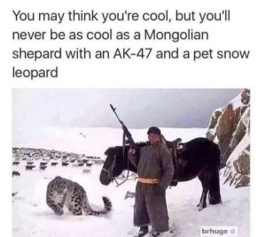 Stupid Bar Memes 8508bf17b368135d