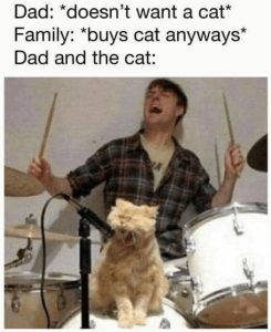 Stupid Bar Memes 8751885a0cf3cce4