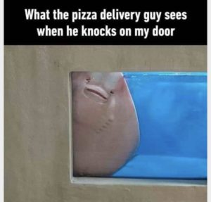 Stupid Bar Memes 8775ec5bf76817f1