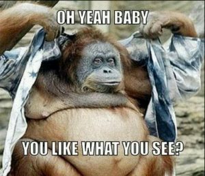 Stupid Bar Memes 89587f0daf6c034b