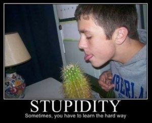 Stupid Bar Memes 8b99a5ada9531ecb