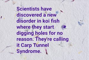 Stupid Bar Memes 8cf56fa92d39ae28