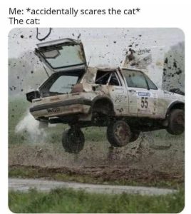 Stupid Bar Memes 8e2c919fc5d6ab9f
