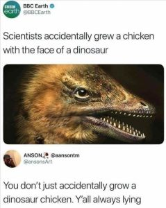 Stupid Bar Memes 934ec991c45f3545