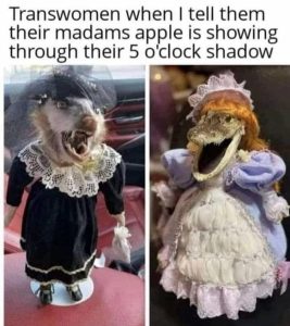 Stupid Bar Memes 9493c093e6090d7c