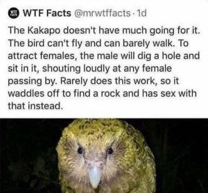 Stupid Bar Memes 94aedd6832d53267