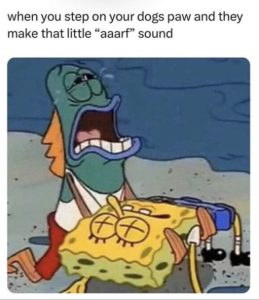 Stupid Bar Memes 94f7f2a7ec8132e8