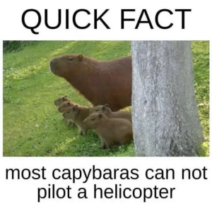 Stupid Bar Memes BS8JGzt