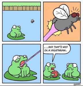 Stupid Bar Memes ResizedsFBsIMGs1679092031704