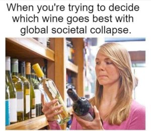 Stupid Bar Memes a1d00f7f9d3324db