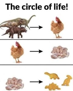 Stupid Bar Memes a23da291ad7706f9