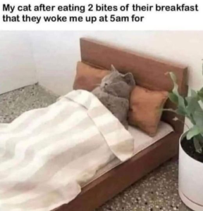 Stupid Bar Memes a2948b2c06122ab2