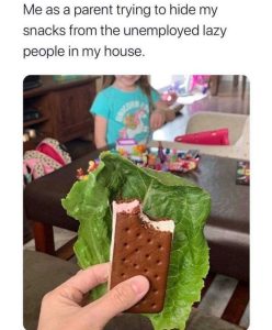 Stupid Bar Memes a3d5c8c6adb852ff
