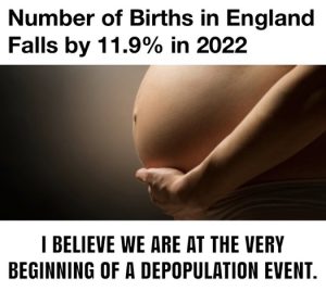 Stupid Bar Memes a6accbf427f52b7d