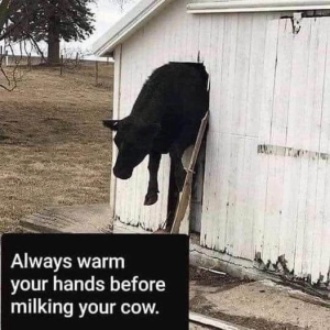Stupid Bar Memes a72b414ba97a4597