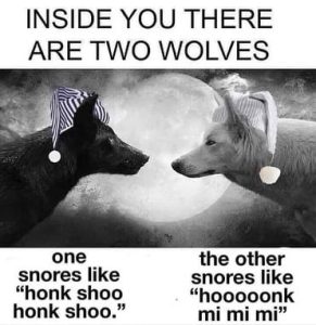 Stupid Bar Memes a7q85ELs700b