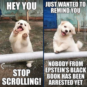 Stupid Bar Memes a83ce9fd1e6339da