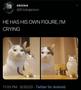 Stupid Bar Memes a9919ca2992f0de8