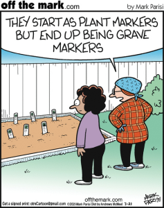 Stupid Bar Memes a9c707276ef39d57
