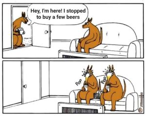 Stupid Bar Memes a9qz1yKs700b