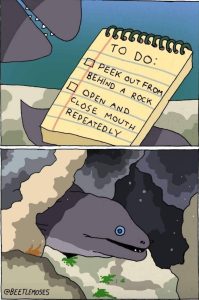 Stupid Bar Memes aRELZOAs700b
