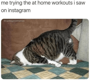 Stupid Bar Memes acd8b1ba4e301af0