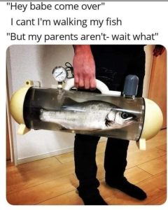 Stupid Bar Memes aeQ4Xyms700b