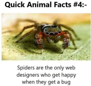 Stupid Bar Memes avQWerWs700b
