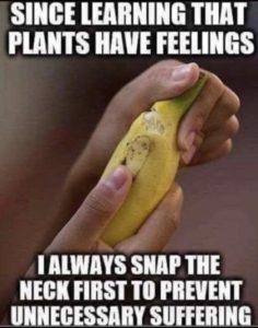 Stupid Bar Memes b1a5cb71534eea96