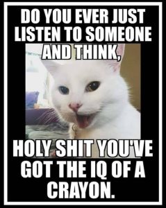 Stupid Bar Memes b483ed64fcb8594c