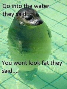 Stupid Bar Memes b4852352f1469baf