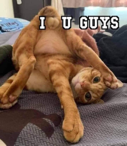 Stupid Bar Memes b6f69b8839a24fe7