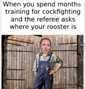 Stupid Bar Memes b788bccaaced67b3