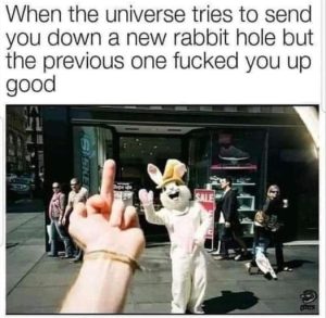 Stupid Bar Memes b825698a24385962
