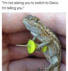 Stupid Bar Memes b95bd195c2e1a9a2