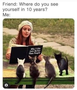 Stupid Bar Memes bb5bc7807800c6a2