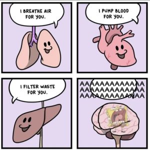 Stupid Bar Memes bbe52203e2f95732