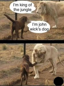 Stupid Bar Memes ca10f5ab1d689442