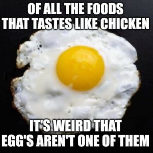 Stupid Bar Memes cfd10429df84a0d7