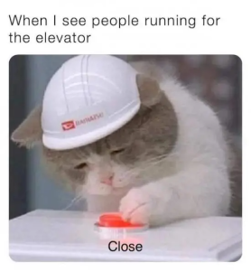 Stupid Bar Memes cmbxiz1