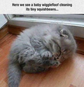 Stupid Bar Memes d0888425aa3ffbdf