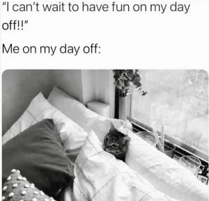 Stupid Bar Memes d417703ebb94bbd5