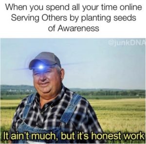 Stupid Bar Memes d598aae5fa04ba30