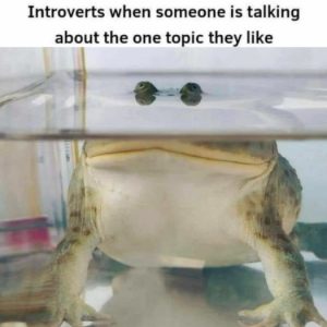 Stupid Bar Memes d7a3abeeb7692e08