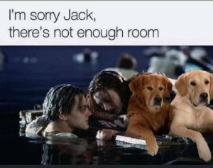 Stupid Bar Memes d80b62d8795a388a