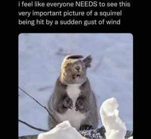 Stupid Bar Memes d824858efd44a07d