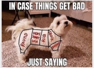 Stupid Bar Memes db6d7df257eedbb2